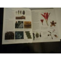 Cactussen en vetplanten het complete handboek