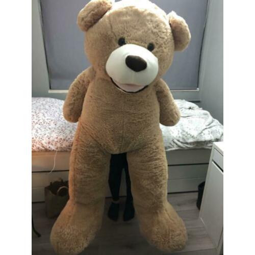 Grote teddybeer