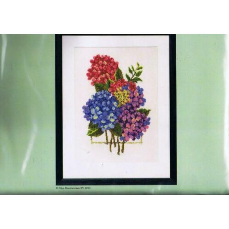 Cado AANBIEDING PAKO GROOT BORDUURPAKKET, HYDRANGEA's