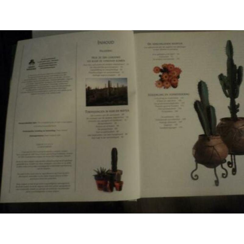 Cactussen en vetplanten het complete handboek