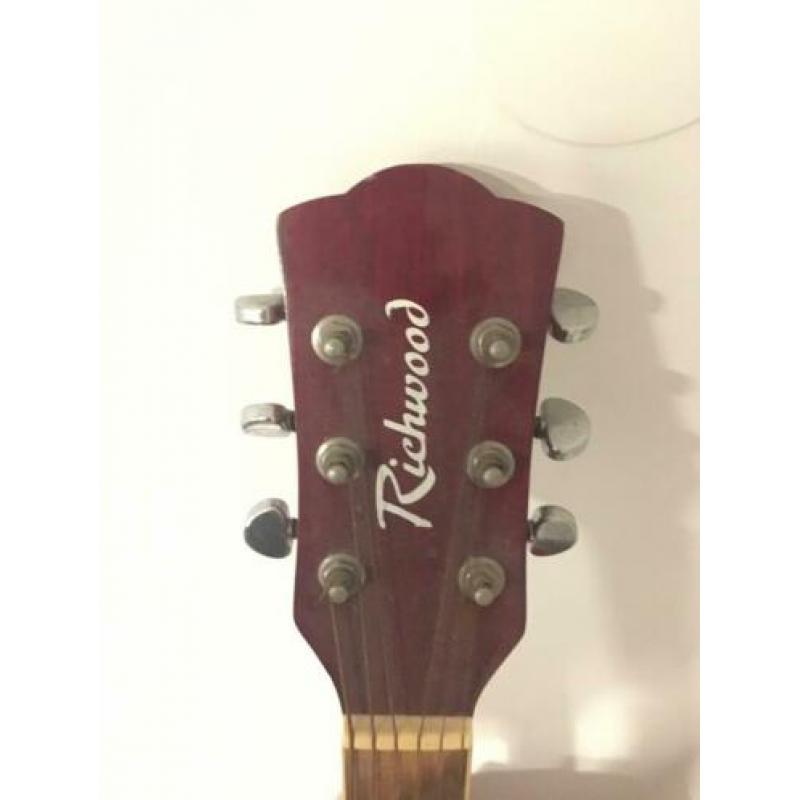 Richwood western gitaar plus tas