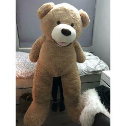 Grote teddybeer