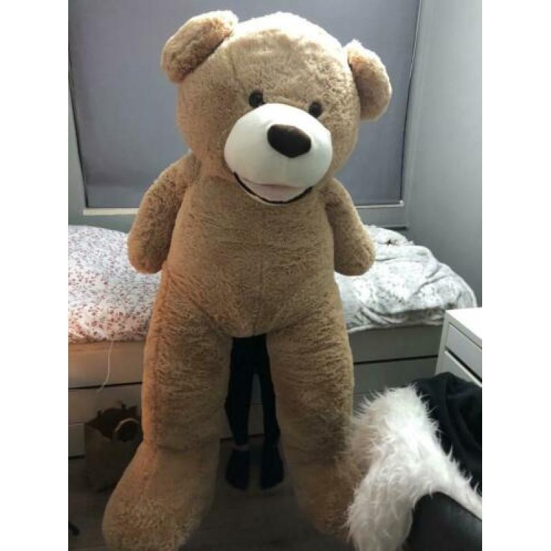 Grote teddybeer