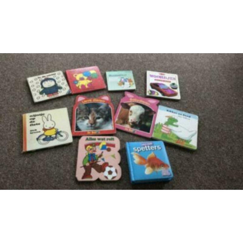 10 baby kartonboekjes kartonnen leesboekjes Nijntje Kikker