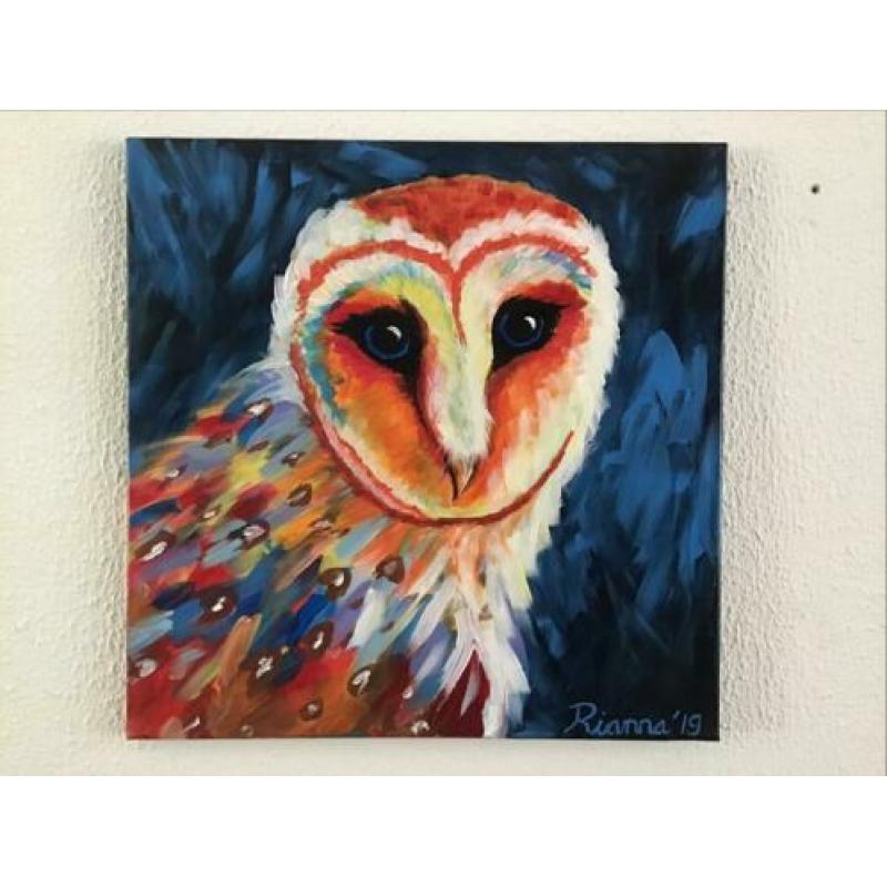 Schilderij genaamd ‘kleurige uil’,handgeschilderd, origineel