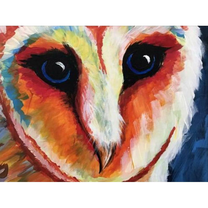Schilderij genaamd ‘kleurige uil’,handgeschilderd, origineel