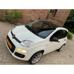 Fiat Panda 1.2 Edizione Cool Prachtige Gezins Auto Bijna Nie