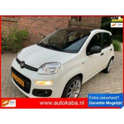 Fiat Panda 1.2 Edizione Cool Prachtige Gezins Auto Bijna Nie