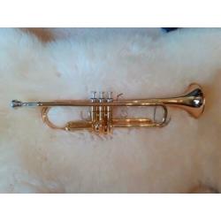 Trompet, Yamaha YTR4335GII