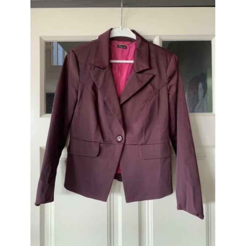 Blazer Studio Mo
