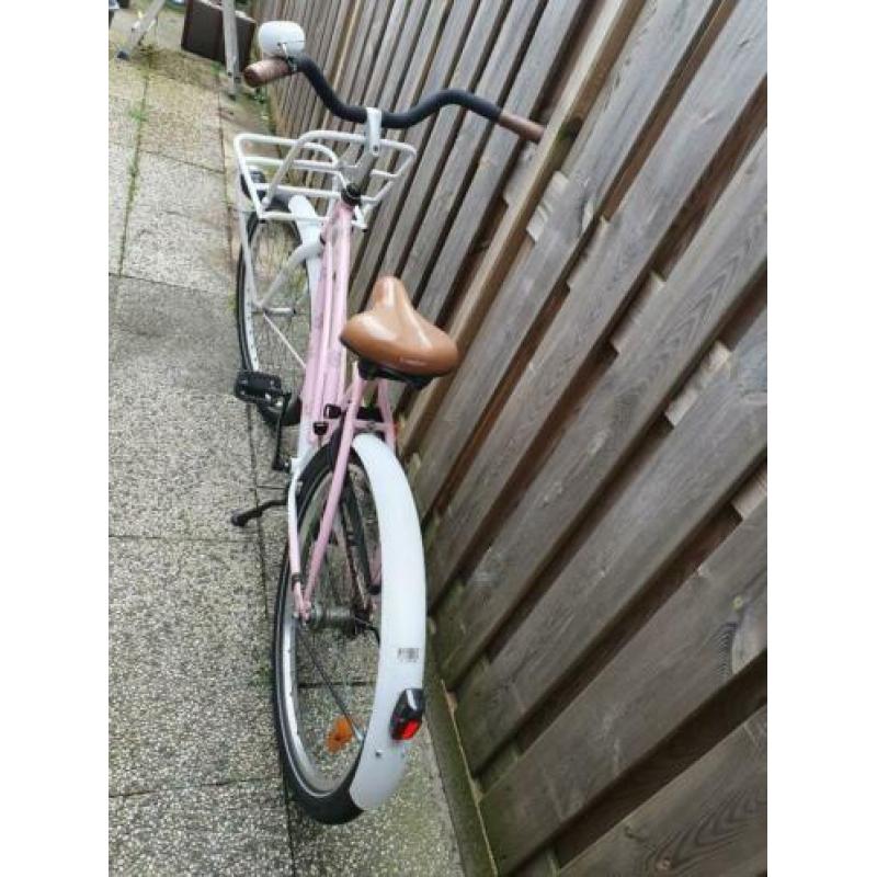 Cortina cruiser 26 inch
