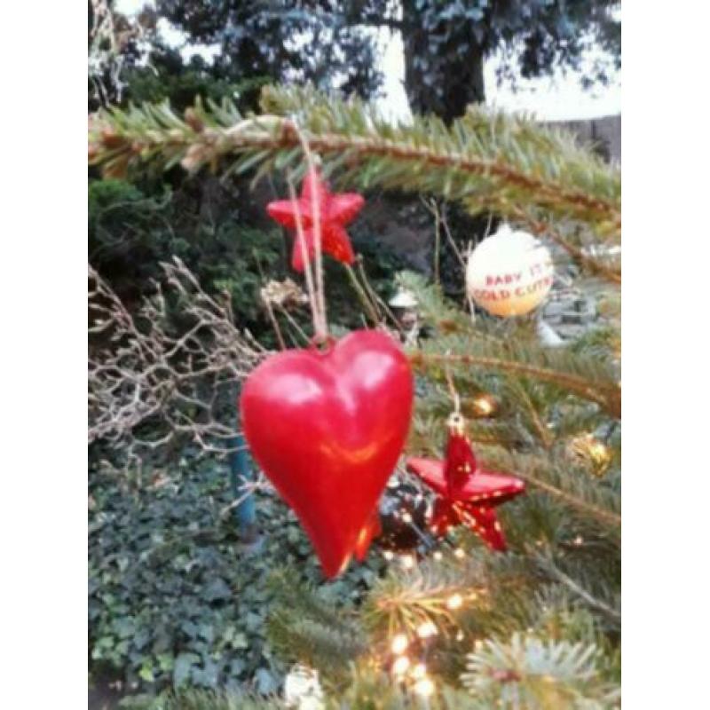Kerst diverse kersthangers