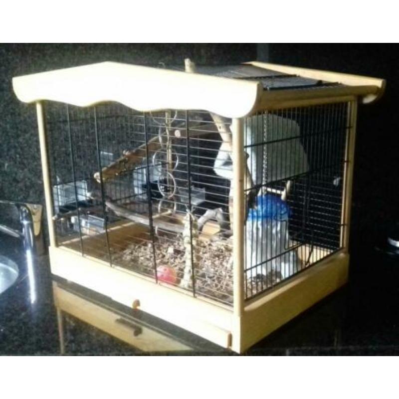 Leuke vogelkooi van hout