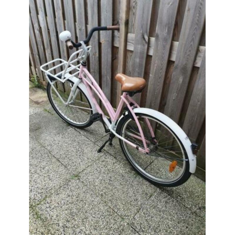 Cortina cruiser 26 inch