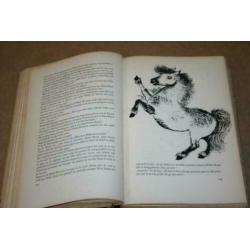 De Ark - Annie M.G. Schmidt - 1955 !!