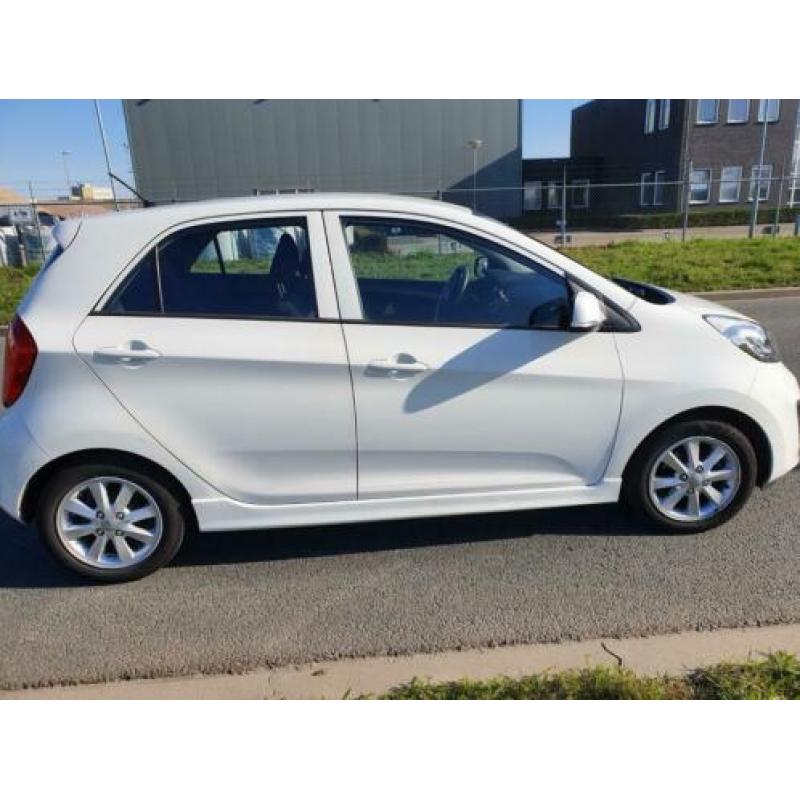 KIA Picanto 1.0 Cvvt 5-DRS 2014 Wit