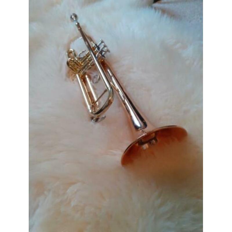 Trompet, Yamaha YTR4335GII
