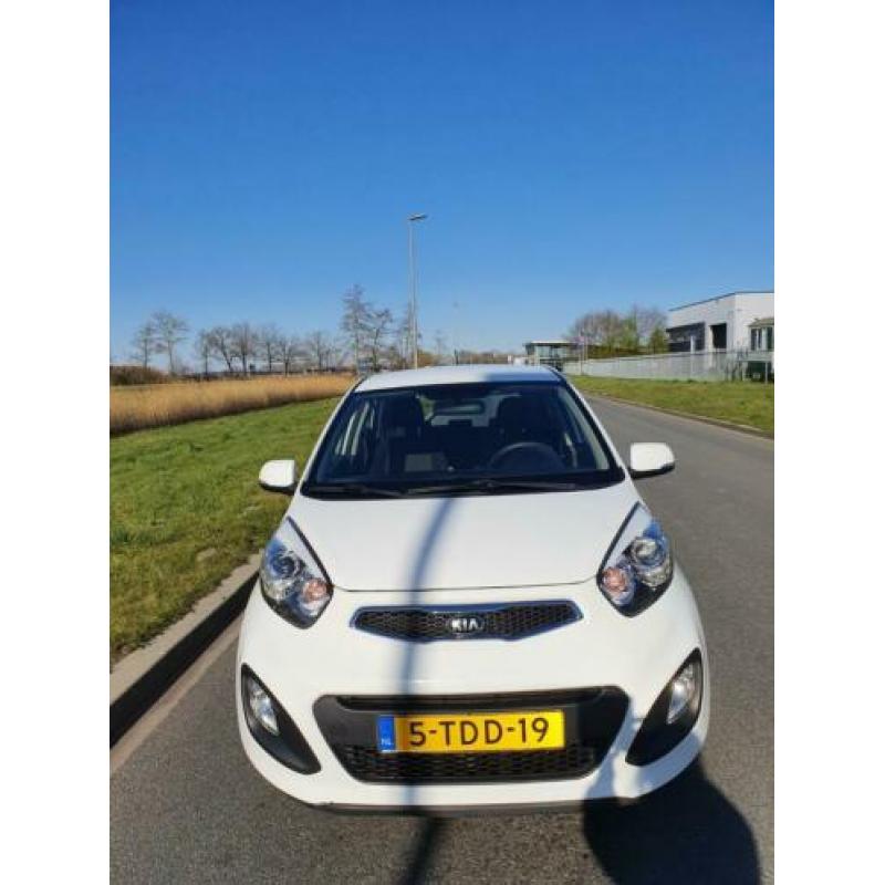 KIA Picanto 1.0 Cvvt 5-DRS 2014 Wit