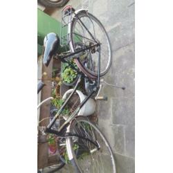 te koop aangeboden gazelle damesfiets versnellingen