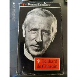 4x Dr.Bernard Delfgaauw.