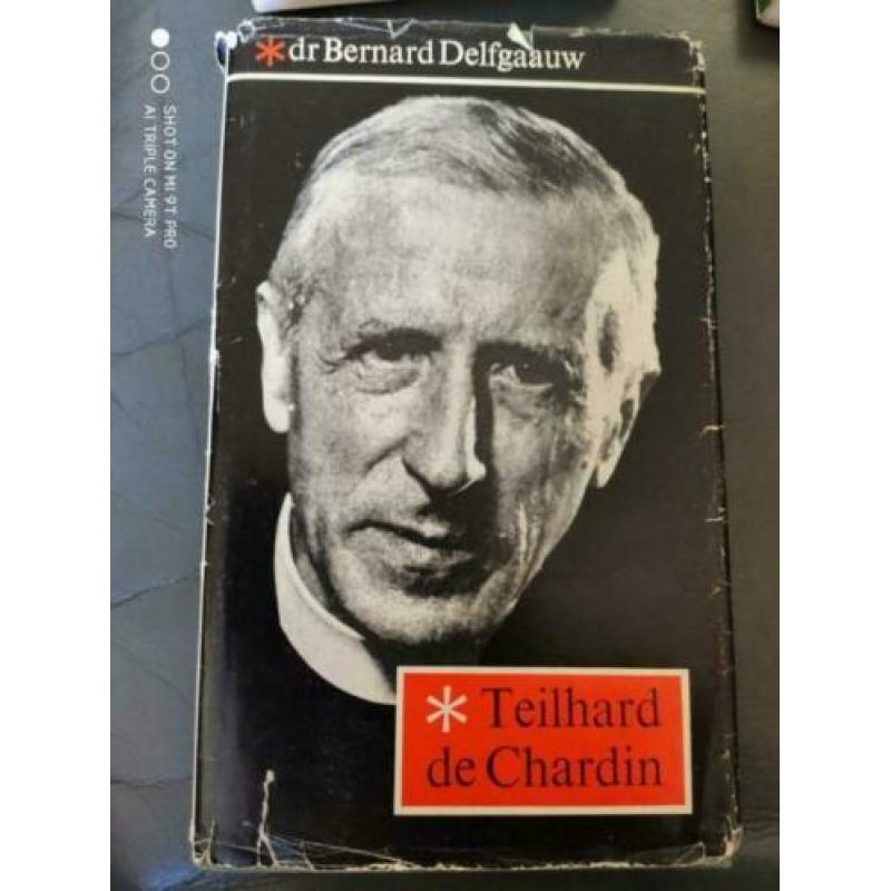 4x Dr.Bernard Delfgaauw.