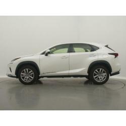 Lexus NX 300h AWD Edition 30 (bj 2019, automaat)
