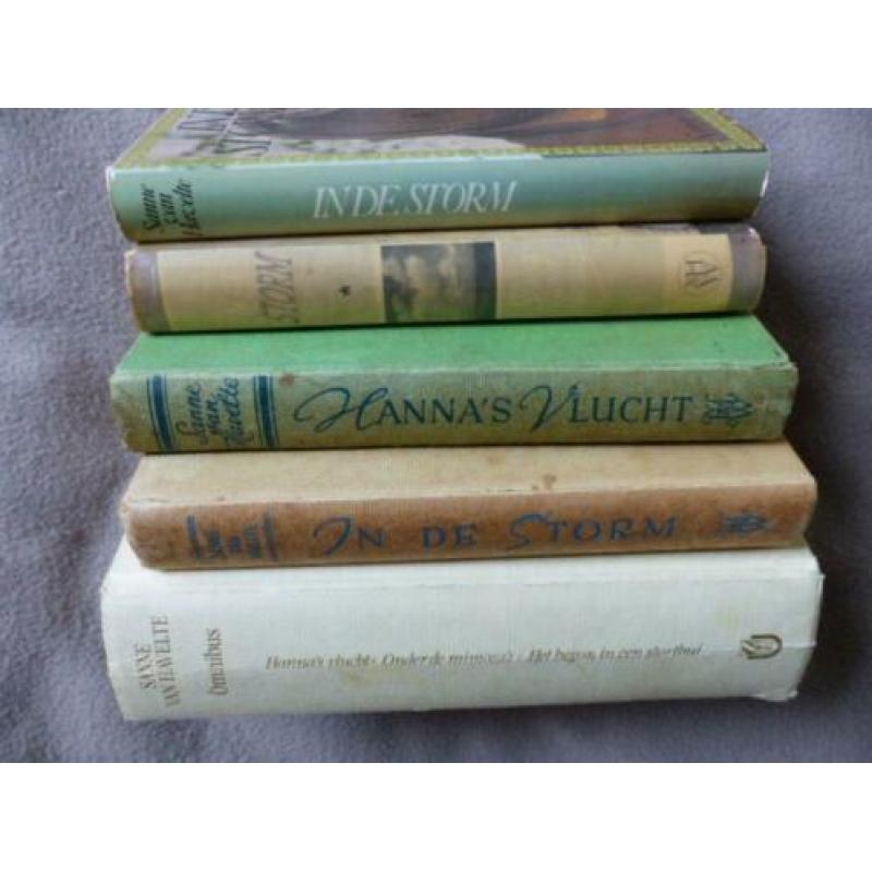 4 x Sanne van havelte in de storm hans borrebach omnibus