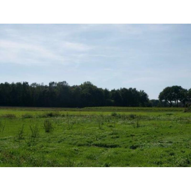 Bouwgrond: Moutstraat - Bouwkavel 1.14 ong, Diessen