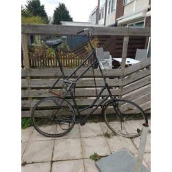 Fiets