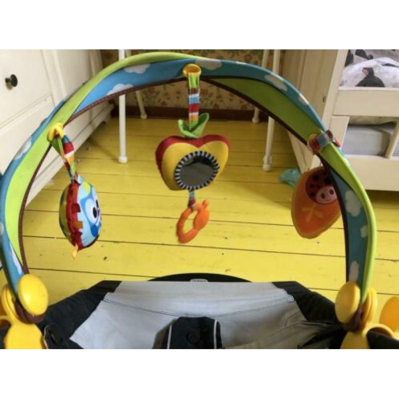 Wipstoel van BabyBjörn, inclusief speelboog van TinyLove