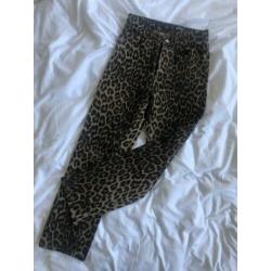 Spijkerbroek Zara panter print