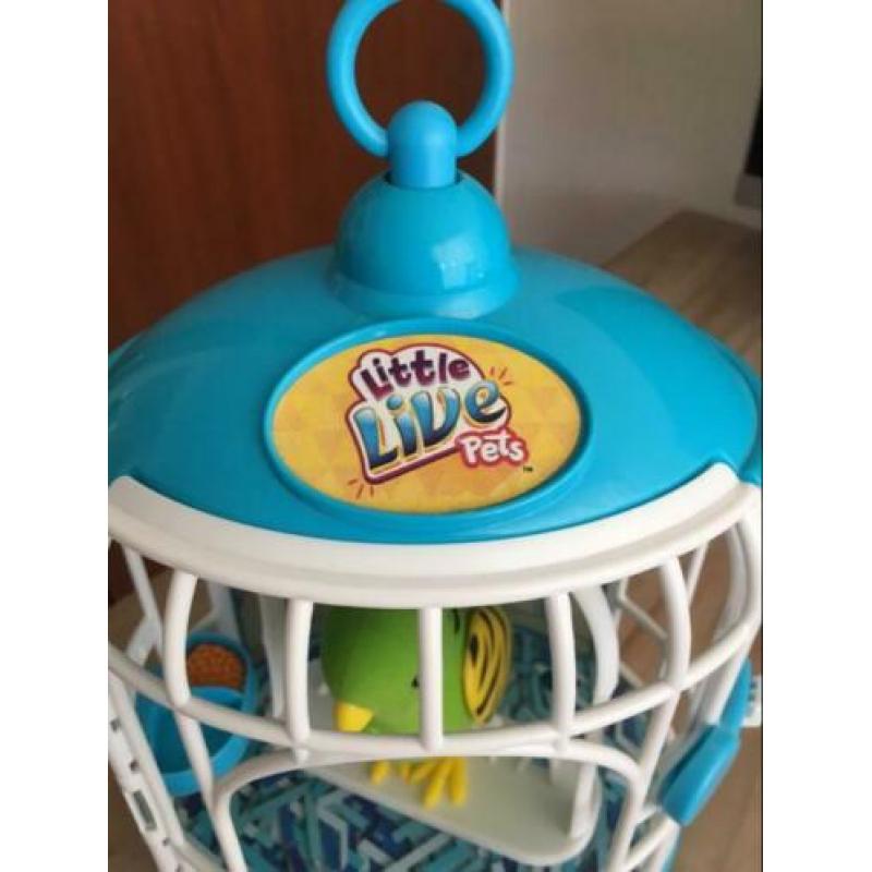 Little live pets sprekend parkietje