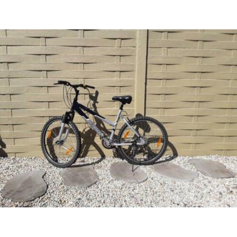 Giant moutainbike