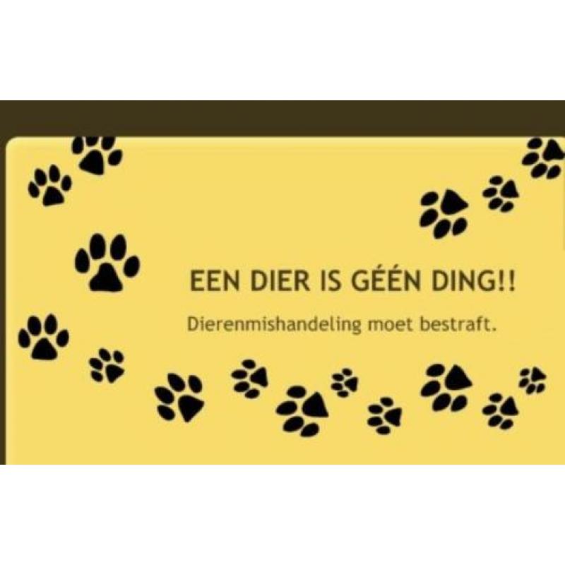 Advies: doe navraag bij het gratis weggeven van huisdieren