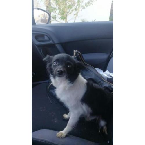 Klein meiske Eva ter Adoptie