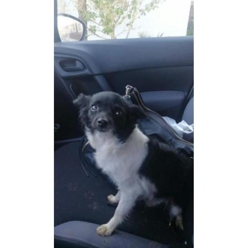Klein meiske Eva ter Adoptie
