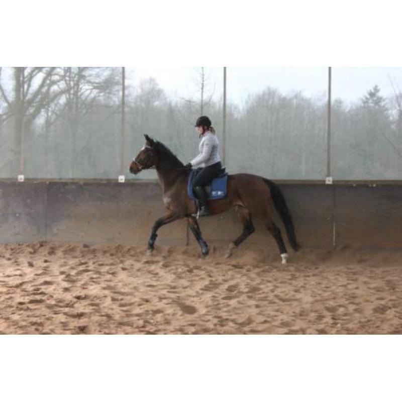 Recreatie Merrie