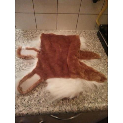 Een heerlijke warme chihuahua jas voor de aankomende winter