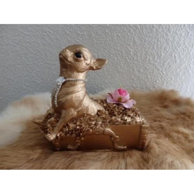 chihuahua beeldje massief poseleingips