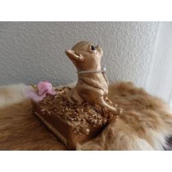 chihuahua beeldje massief poseleingips