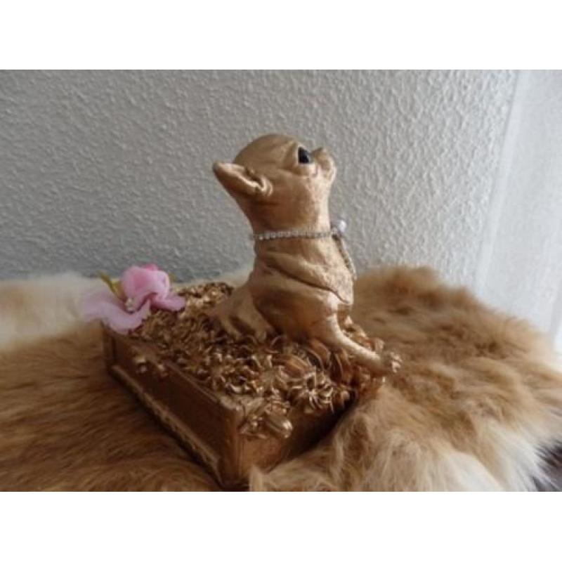 chihuahua beeldje massief poseleingips