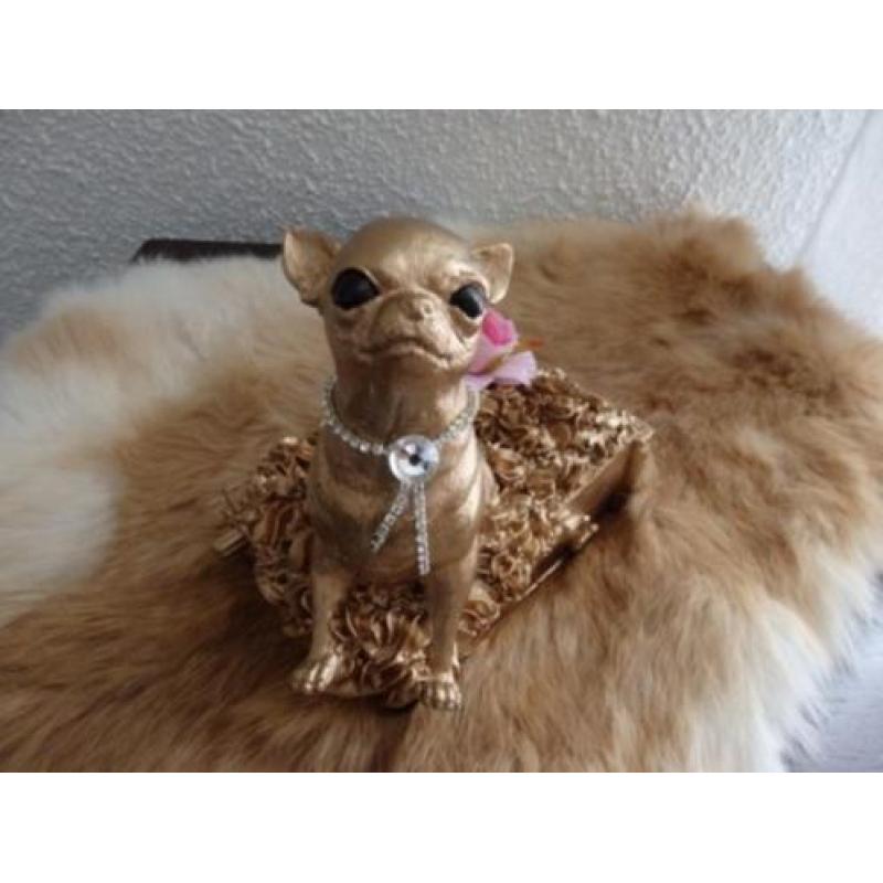 chihuahua beeldje massief poseleingips