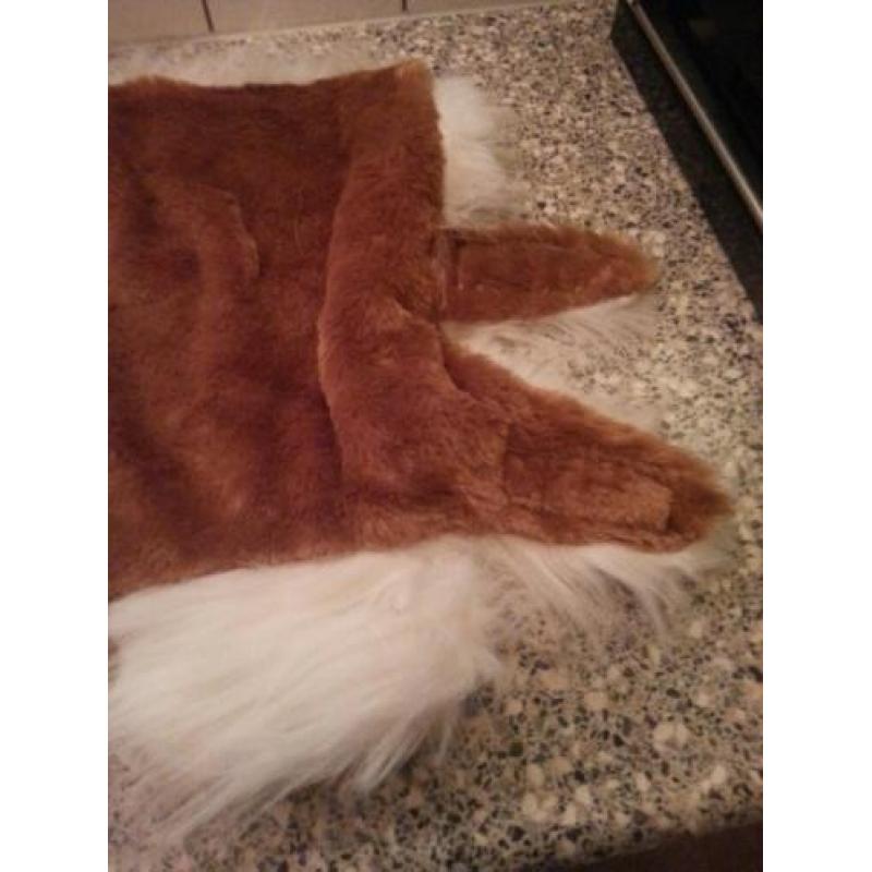 Een heerlijke warme chihuahua jas voor de aankomende winter