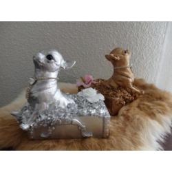 chihuahua beeldje massief poseleingips