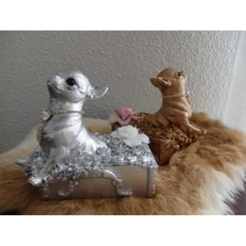 chihuahua beeldje massief poseleingips
