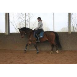 Recreatie Merrie