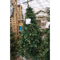 Led Kerstboom 215 cm / Groen (showmodel) kerst 30