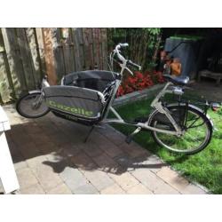 Gazelle Cabby bakfiets