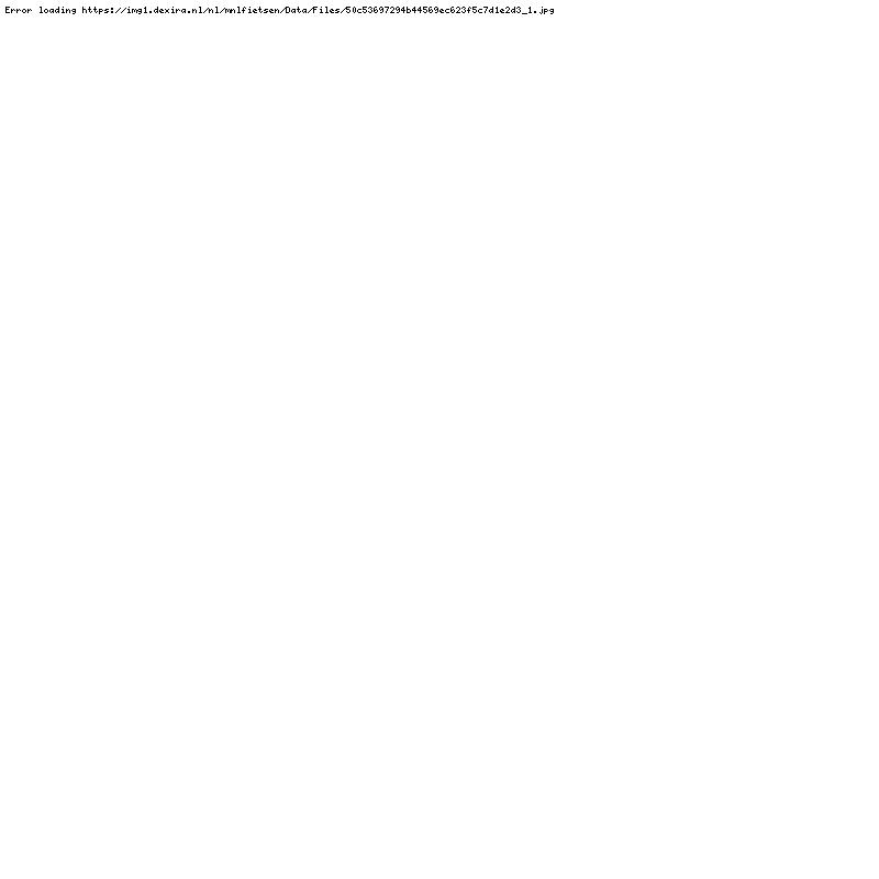 Babboe bakfiets met 7 versnellingen