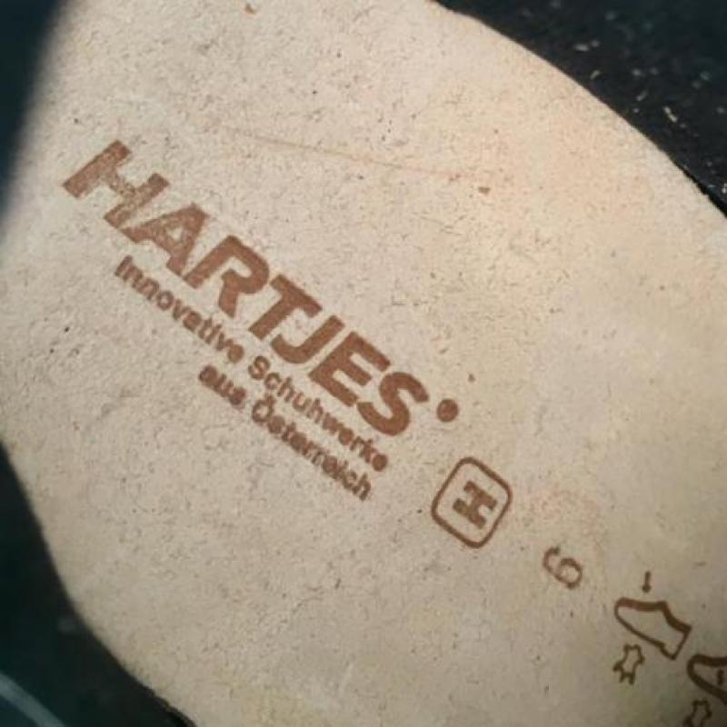 Wandelschoenen merk Hartjes ,maat 39 H